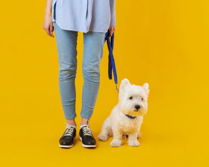 Premium Walk & Travel