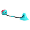 Suction Cup Dog Chew Toy