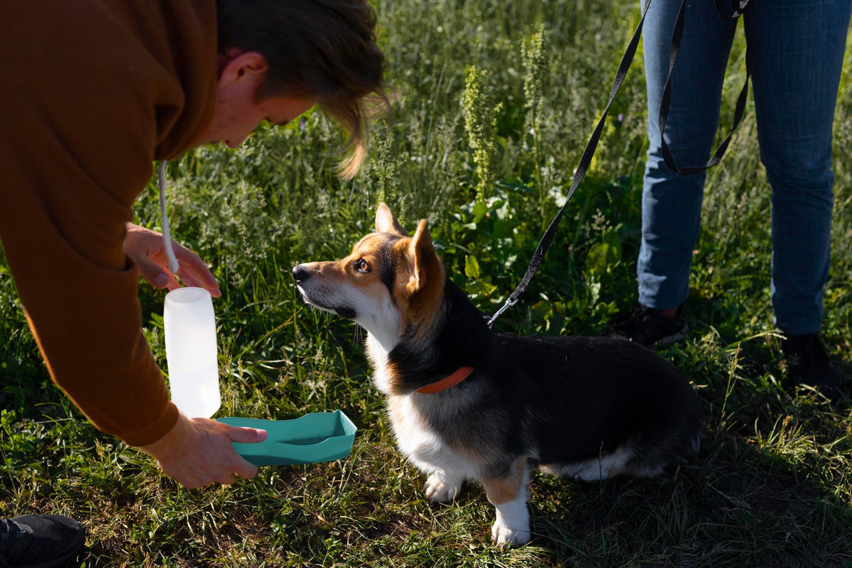 Portable Pooper Scooper