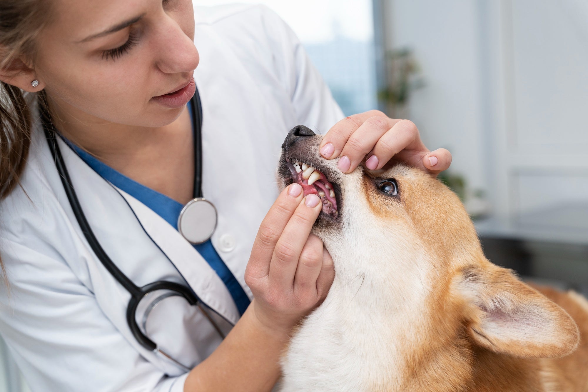 Joint Supplements & Dental Care