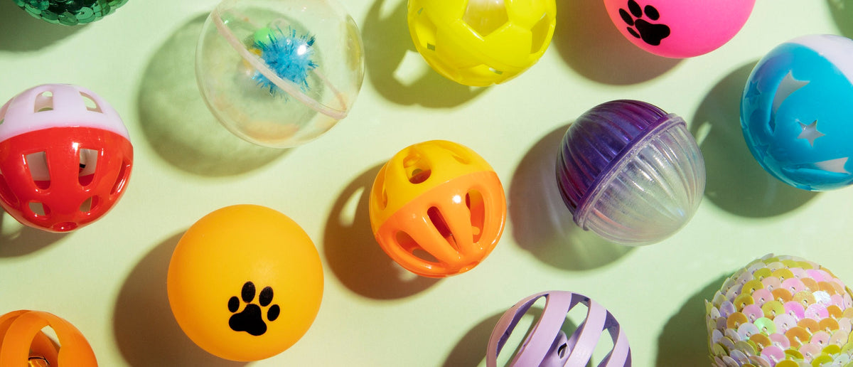 Smart & Interactive Toys