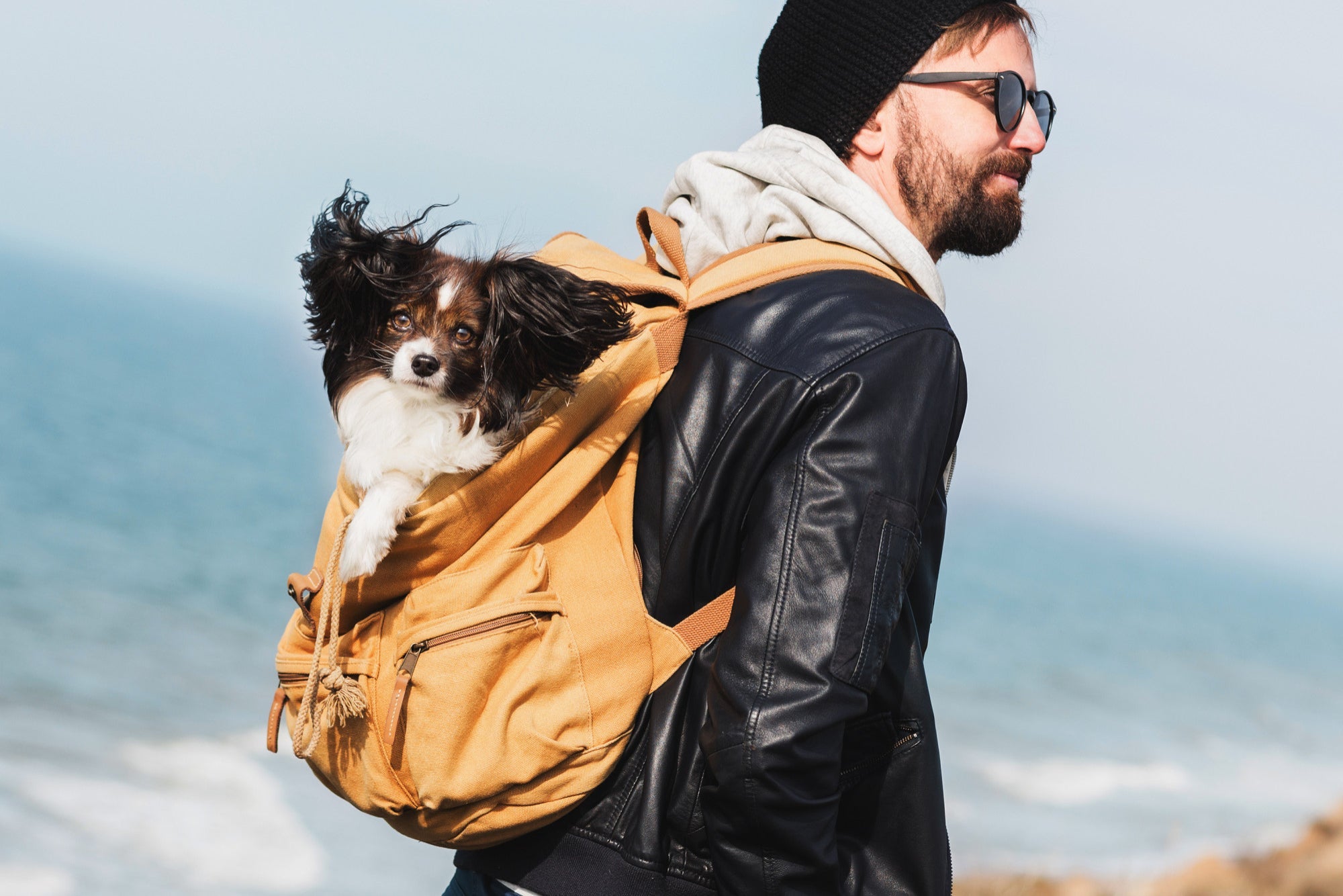 Premium Walk & Travel