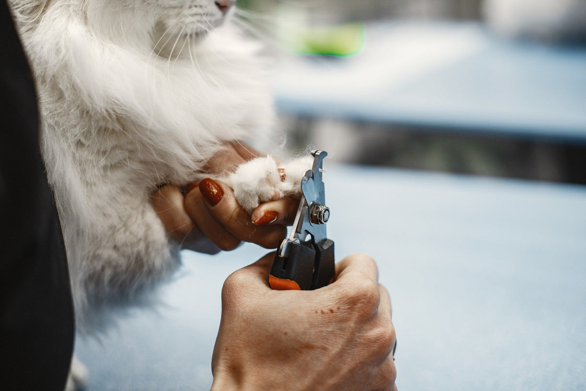 Advanced Nail Grinders & Clippers