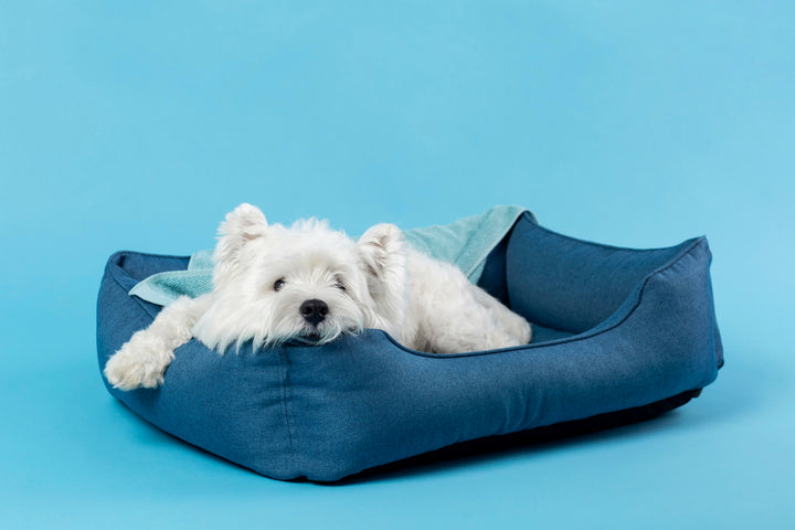 Luxury Beds & Furniture