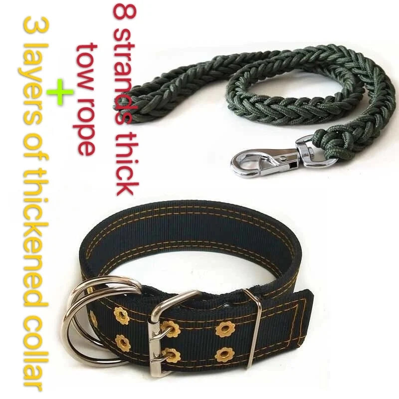 Heavy-Duty Harness Set – 4-Ring Training & Stainless Steel