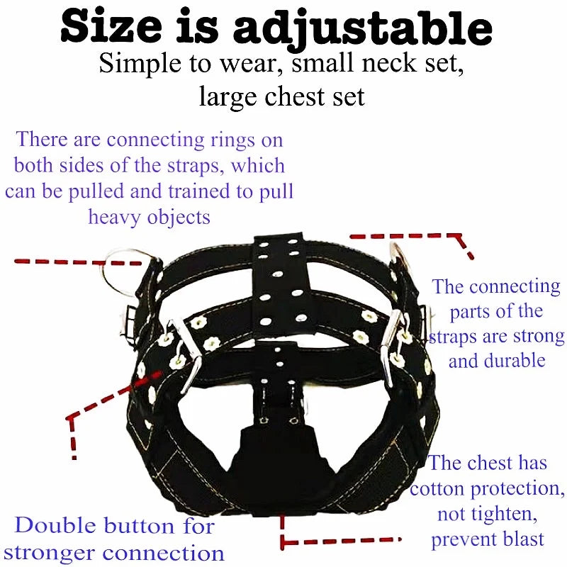 Heavy-Duty Harness Set – 4-Ring Training & Stainless Steel