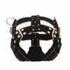 Heavy-Duty Harness Set – 4-Ring Training & Stainless Steel