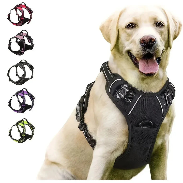 Leather Dog Harness Set – 3-in-1 with Leash