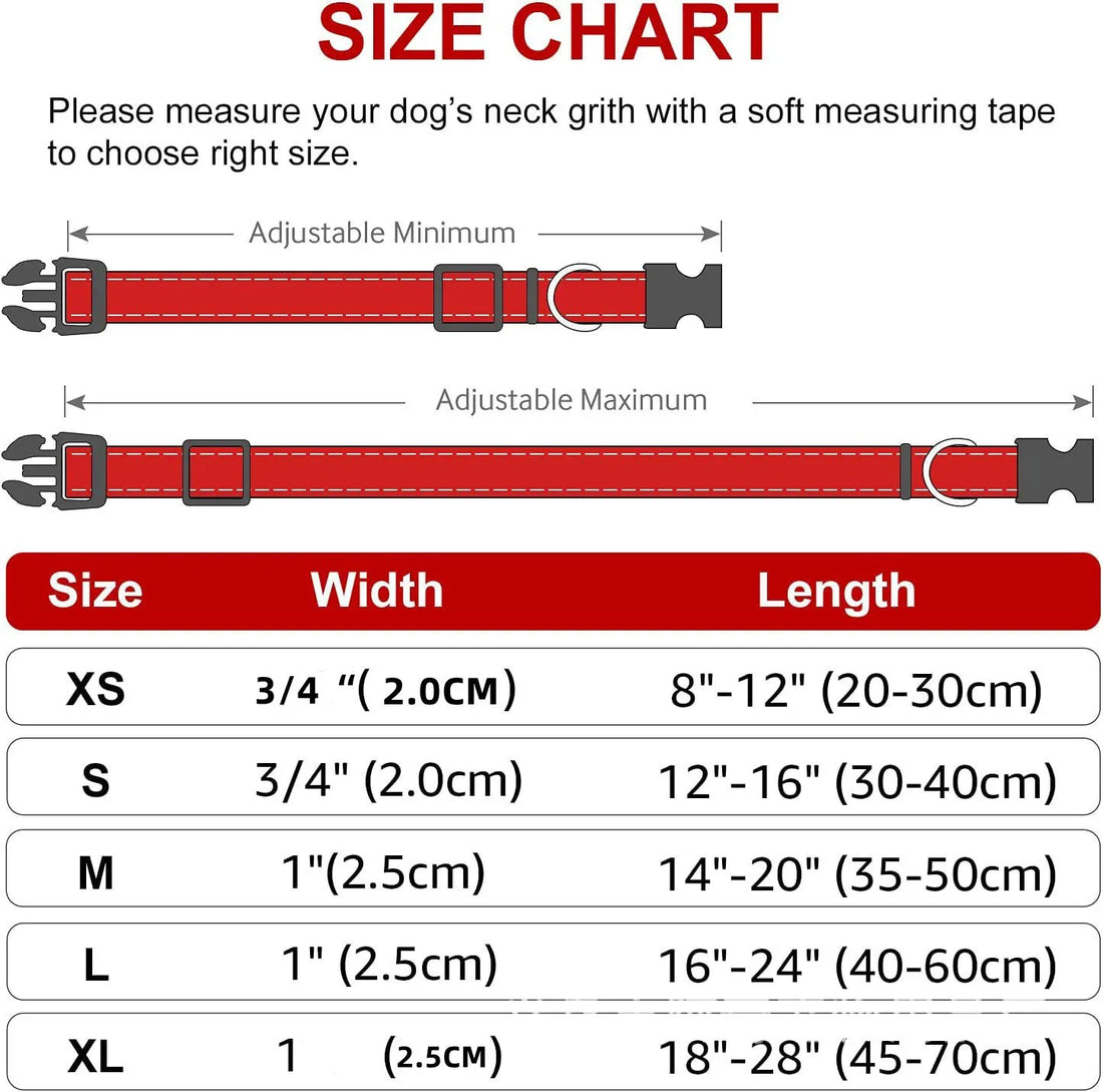 Decorative Nylon Dog Collar – Quick Release & Adjustable