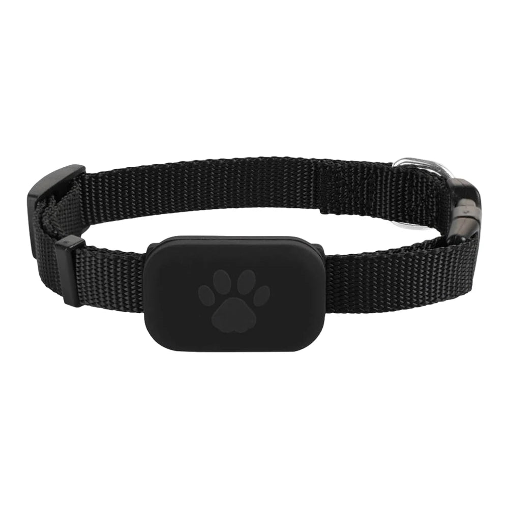 GPS Pet Tracker – No Monthly Fee & Adjustable Collar