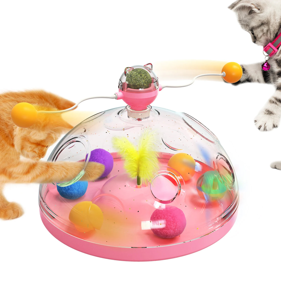 Cat Treasure Chest Toy – 4-in-1 Interactive Puzzle