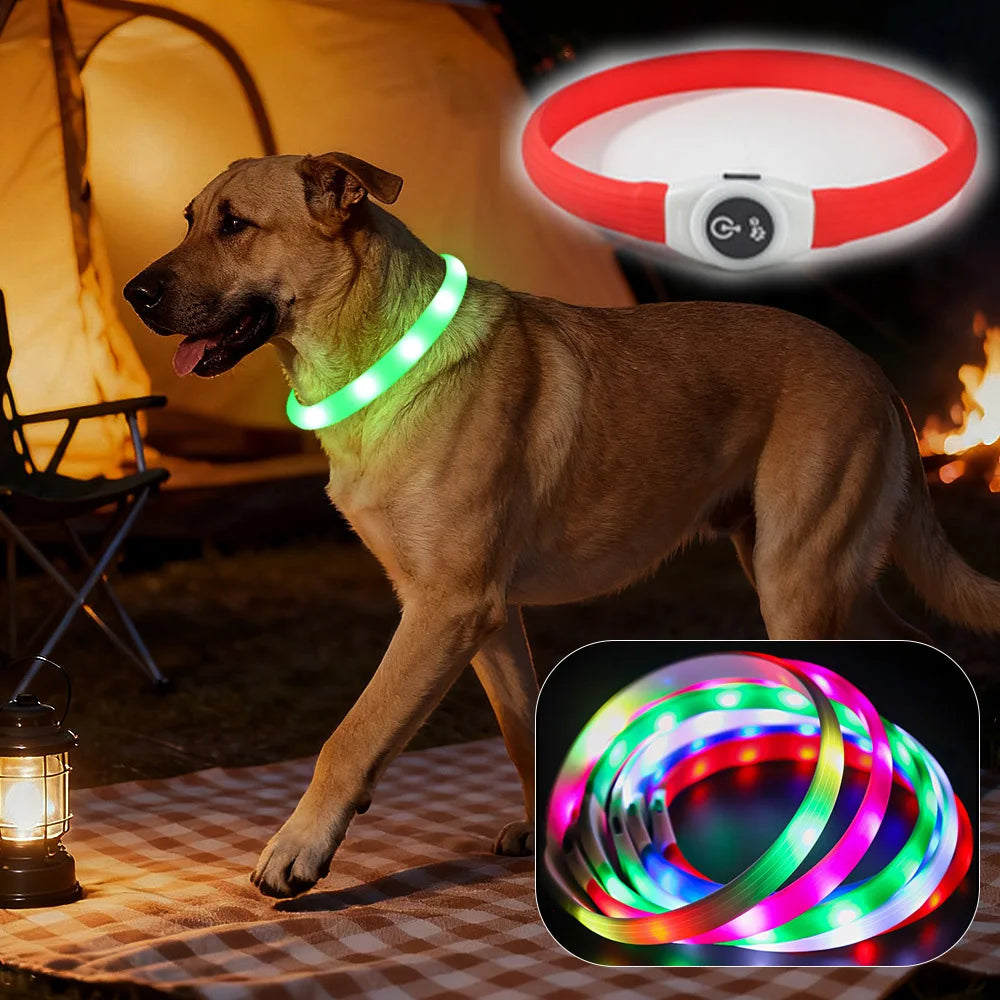 LED Dog Collar – USB Rechargeable & Waterproof