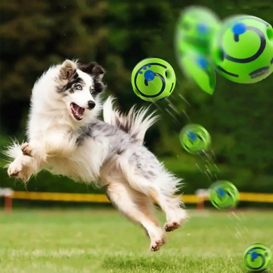 Dog Giggle Ball – Funny Interactive IQ Training Toy with Giggle Sound