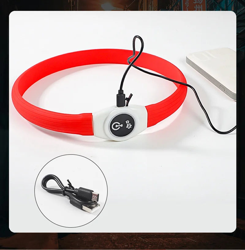 LED Dog Collar – USB Rechargeable & Waterproof