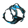 Leather Dog Harness Set – 3-in-1 with Leash