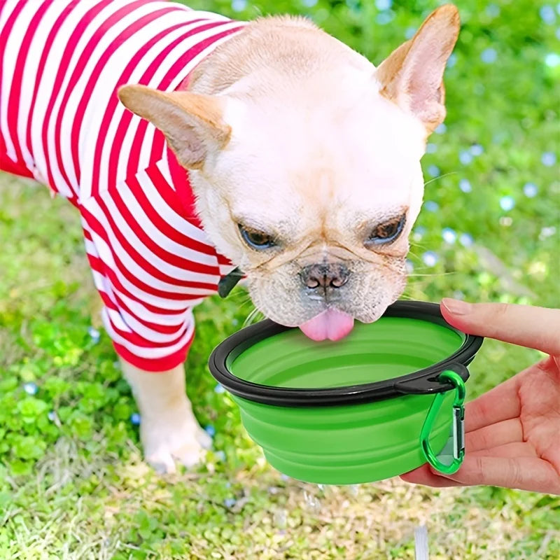 Portable Pet Bowl – Collapsible TPR with Carabiner Clip