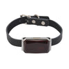 GPS Pet Tracker – Real-Time & IP67 Waterproof