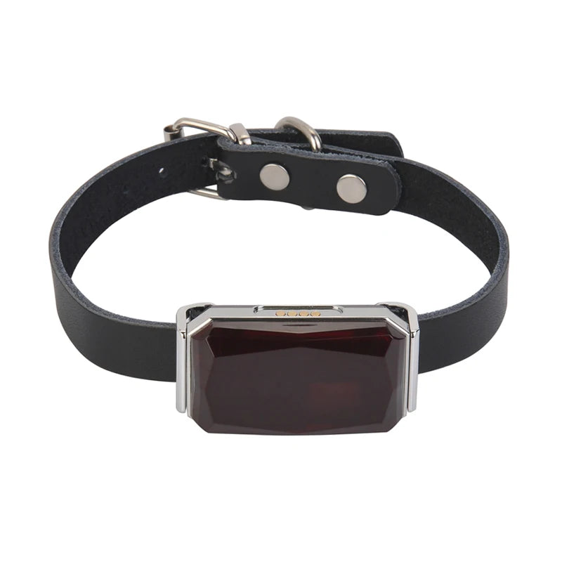 GPS Pet Tracker – Real-Time & IP67 Waterproof