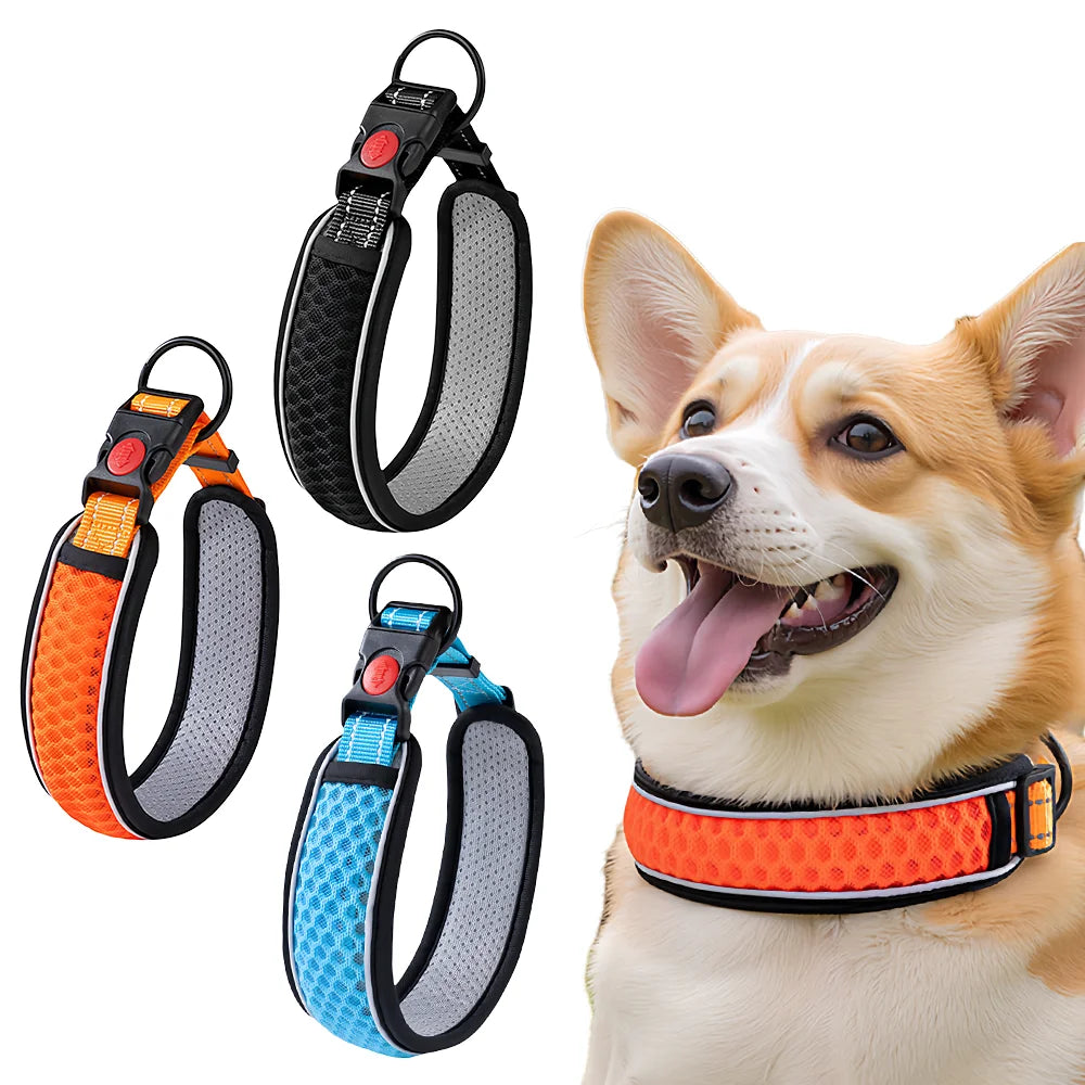 Breathable Mesh Dog Collar – Reflective & Adjustable