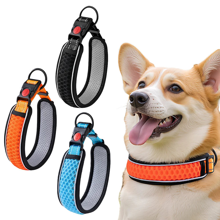 Breathable Mesh Dog Collar – Reflective & Adjustable