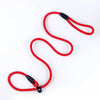 Dog Training P Leash – Heavy-Duty Anti-Pull with Comfort Grip