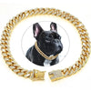 Rhinestone Dog Collar – Gold Plated & Secure Clasp