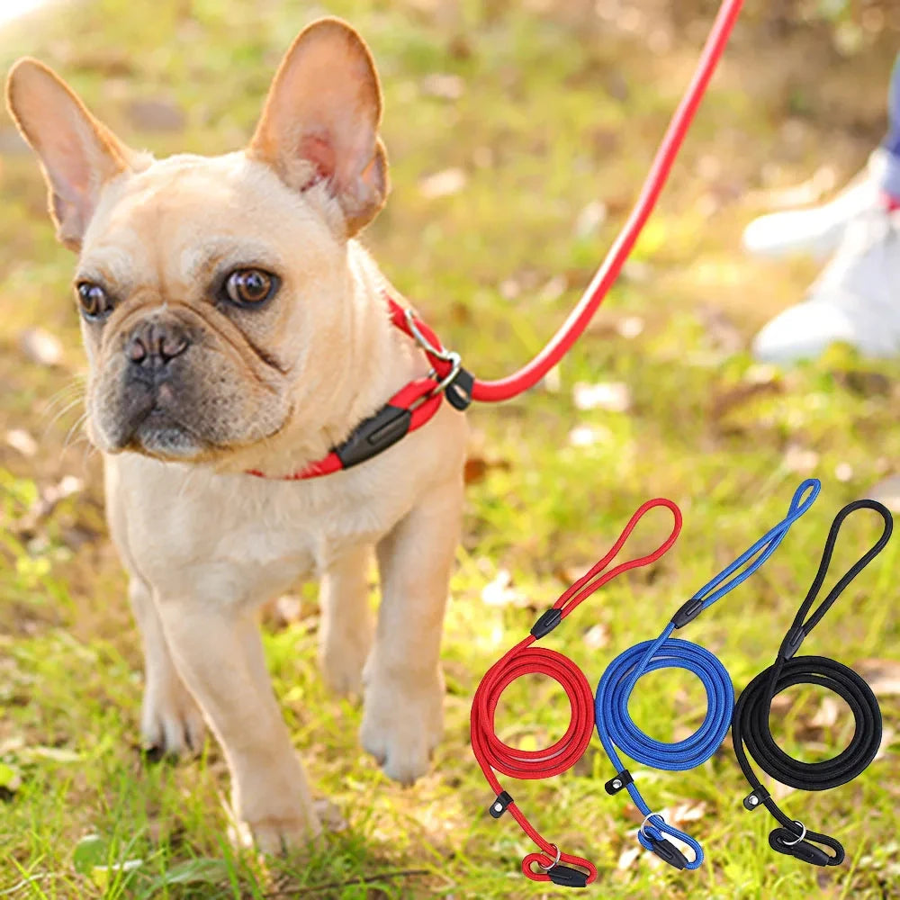 Dog Training P Leash – Heavy-Duty Anti-Pull with Comfort Grip