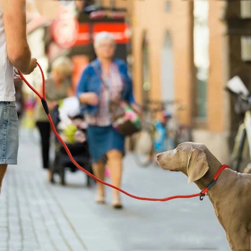 Dog Training P Leash – Heavy-Duty Anti-Pull with Comfort Grip