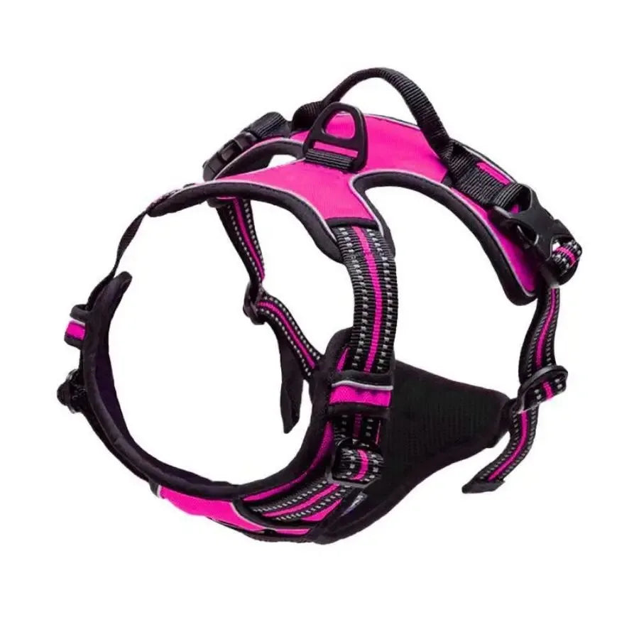 Leather Dog Harness Set – 3-in-1 with Leash