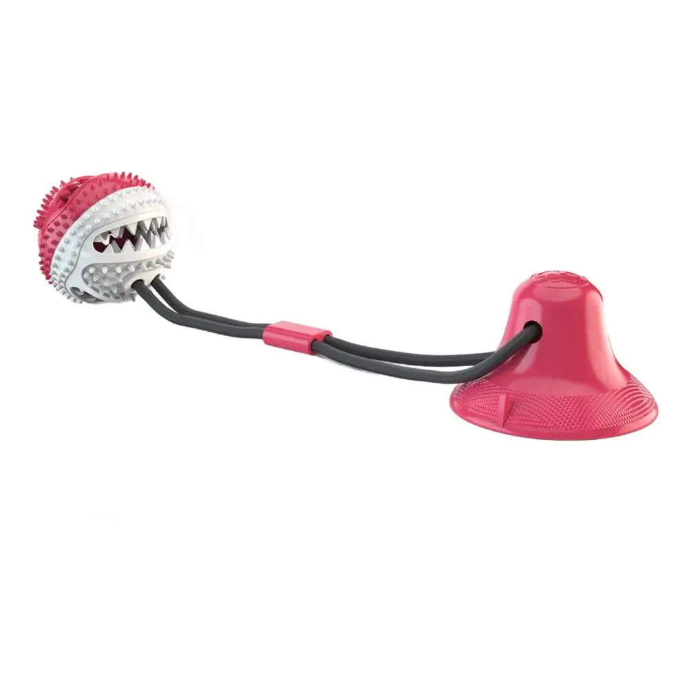 Suction Cup Dog Chew Toy