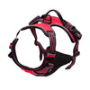 Leather Dog Harness Set – 3-in-1 with Leash