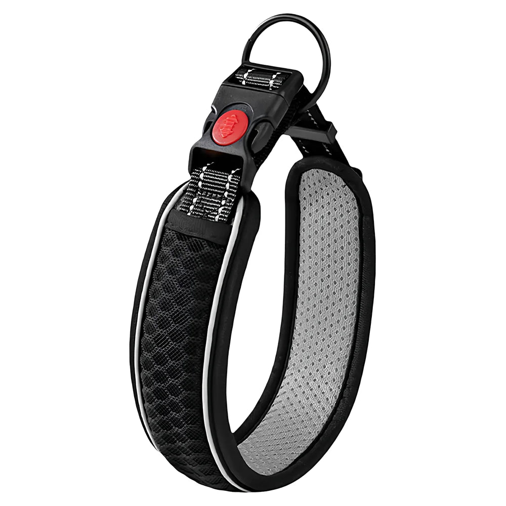 Breathable Mesh Dog Collar – Reflective & Adjustable