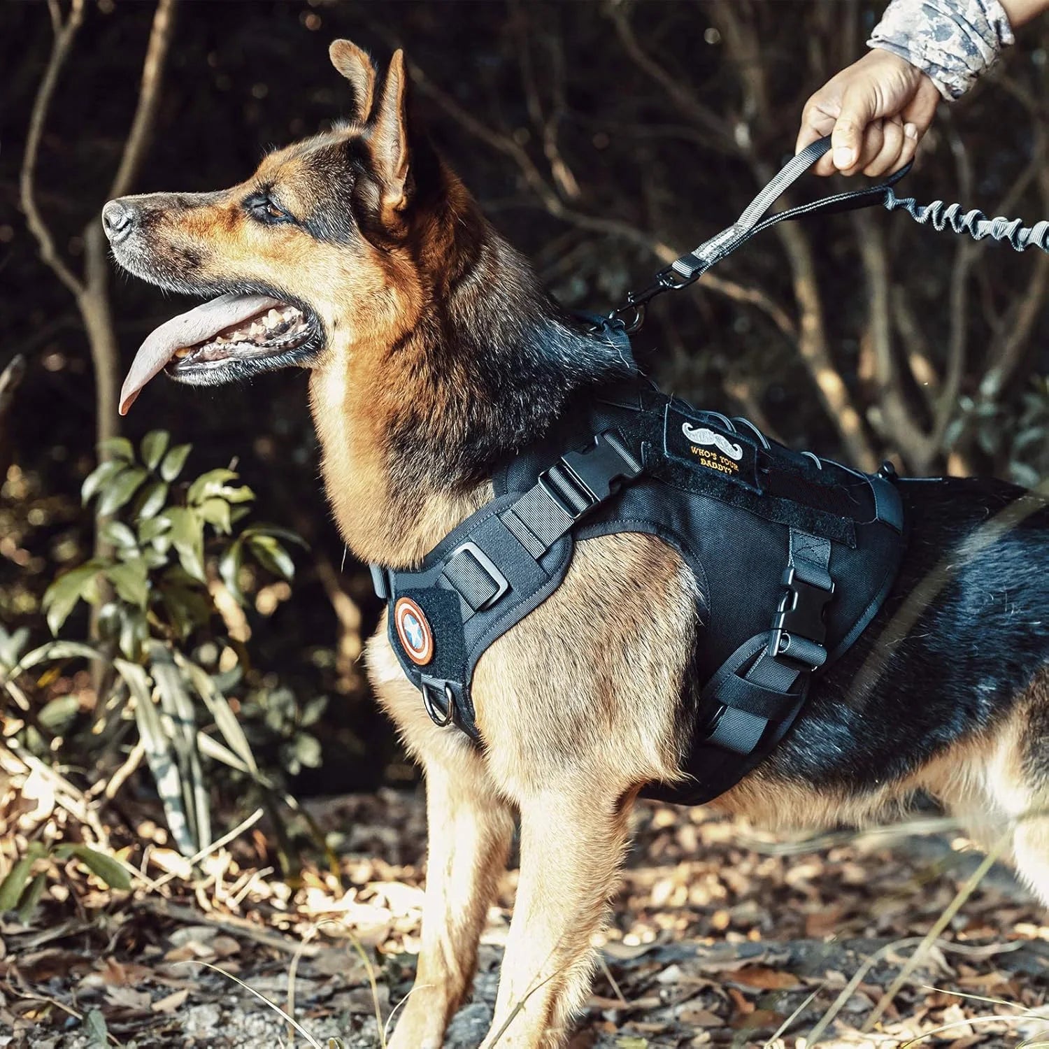Tactical Dog Harness – Handle & Hook & Loop Panels