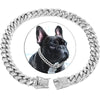 Rhinestone Dog Collar – Gold Plated & Secure Clasp