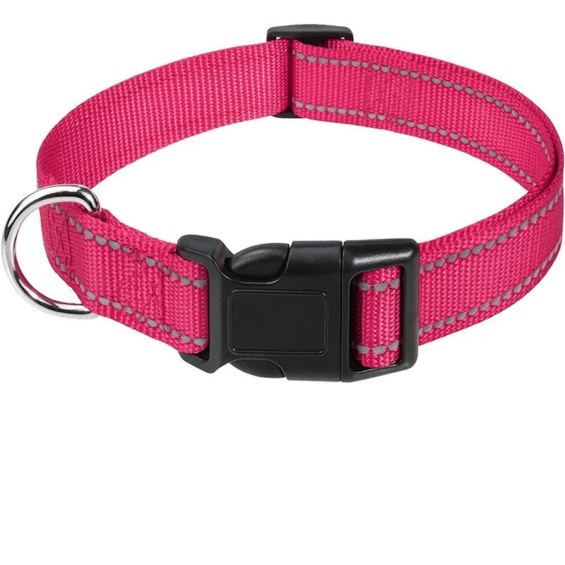 Decorative Nylon Dog Collar – Quick Release & Adjustable