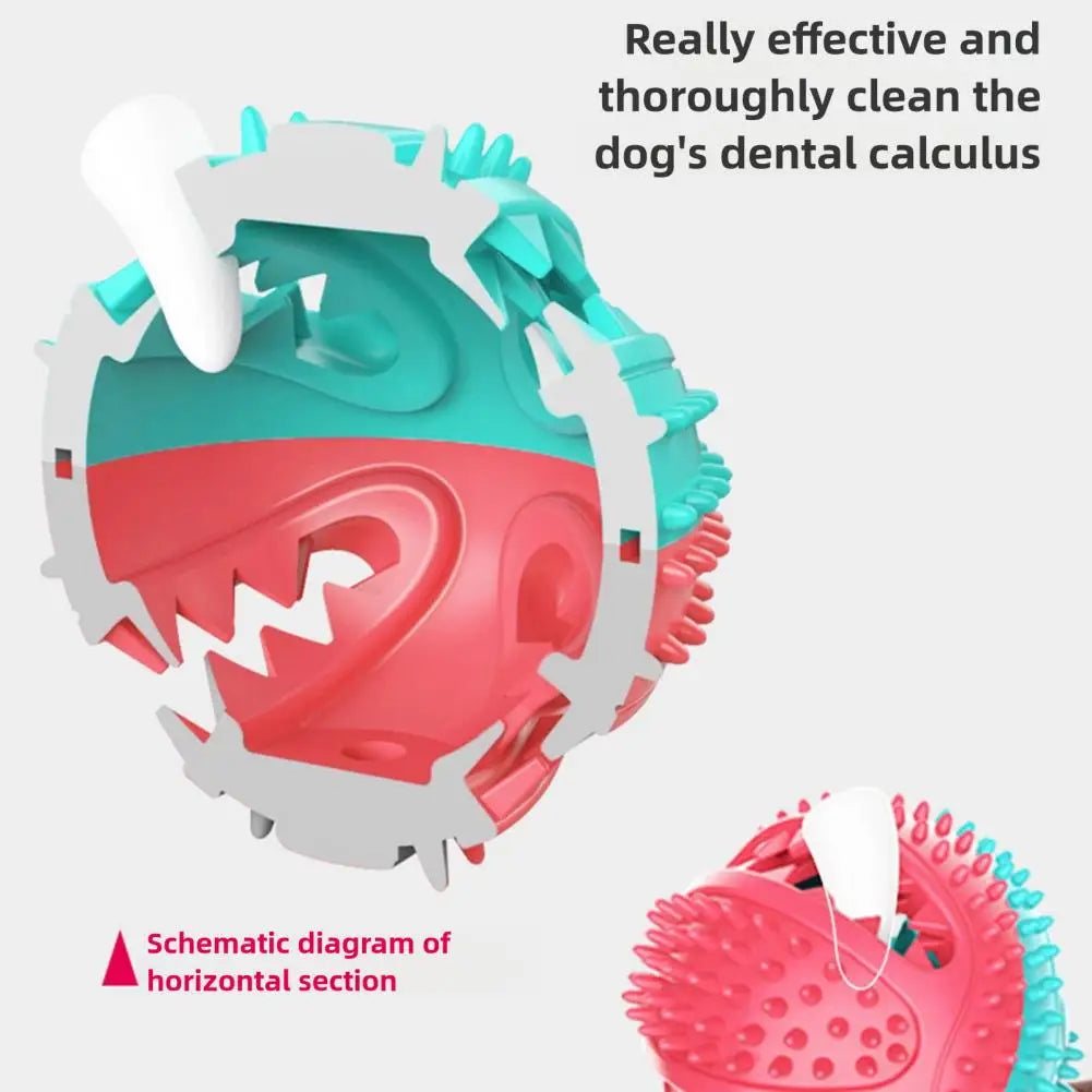 Suction Cup Dog Chew Toy