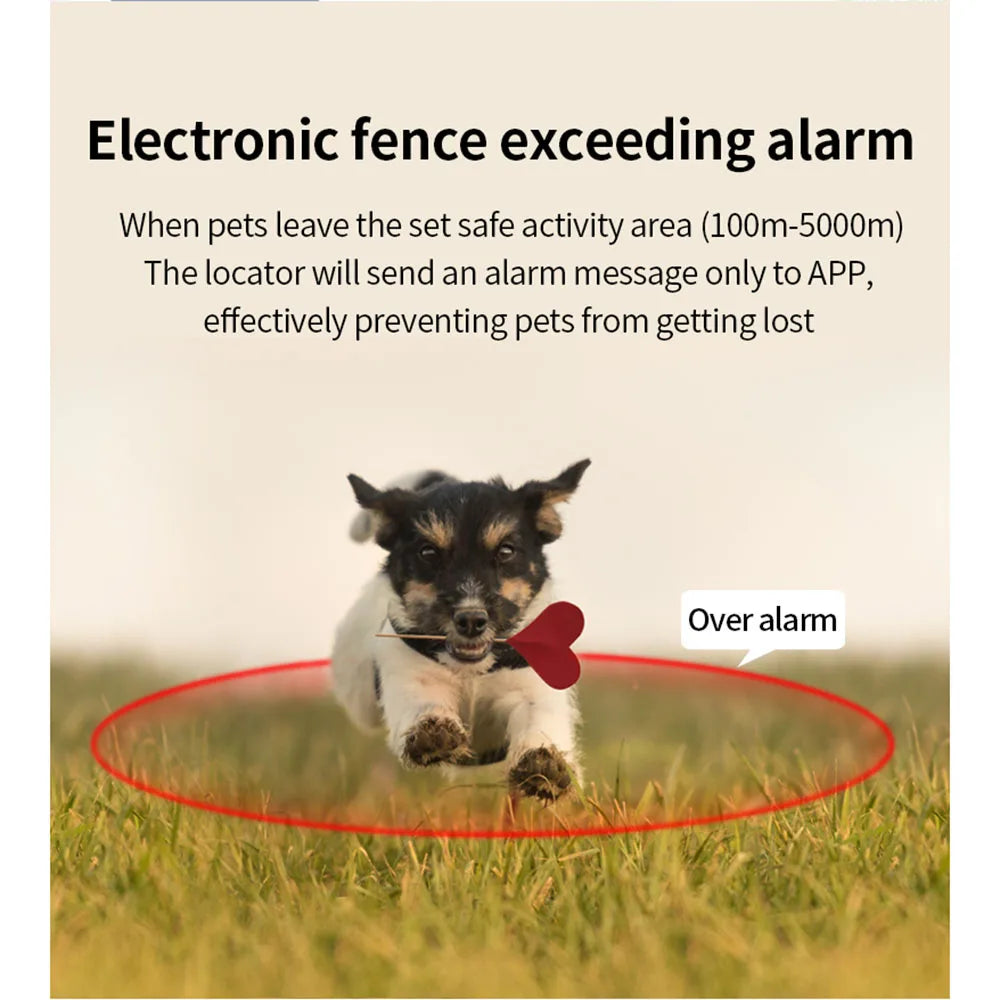 GPS Pet Tracker – Real-Time & IP67 Waterproof