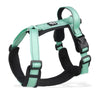 Dog Harness & Leash Set – Adjustable & Breathable No-Pull
