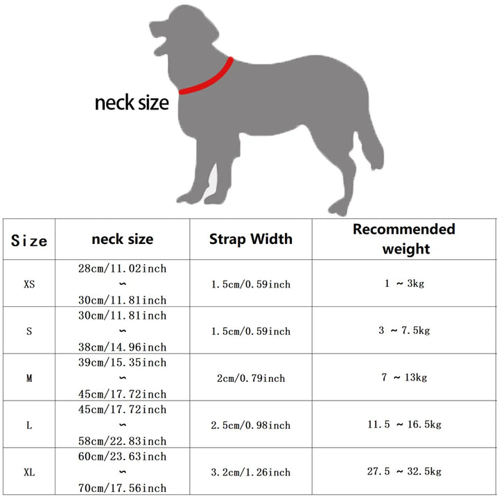 Breathable Mesh Dog Collar – Reflective & Adjustable