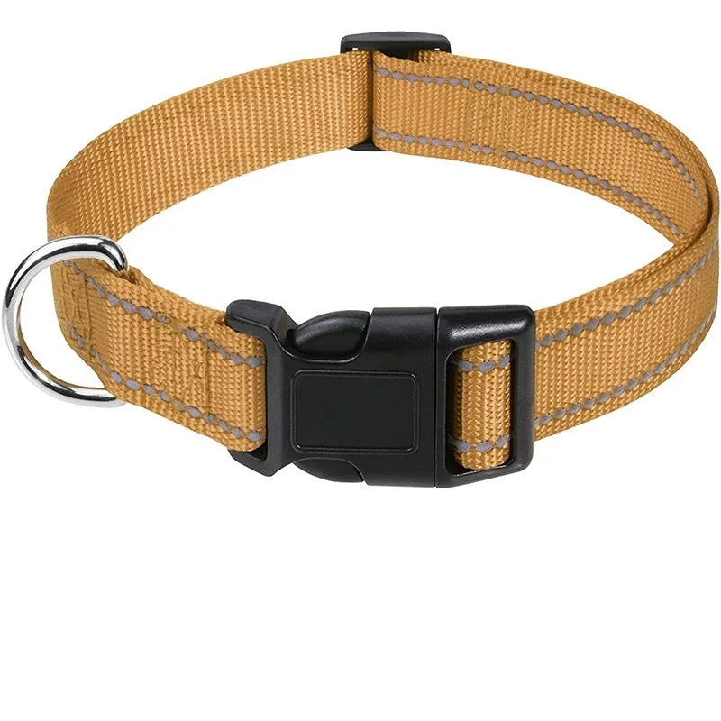 Decorative Nylon Dog Collar – Quick Release & Adjustable
