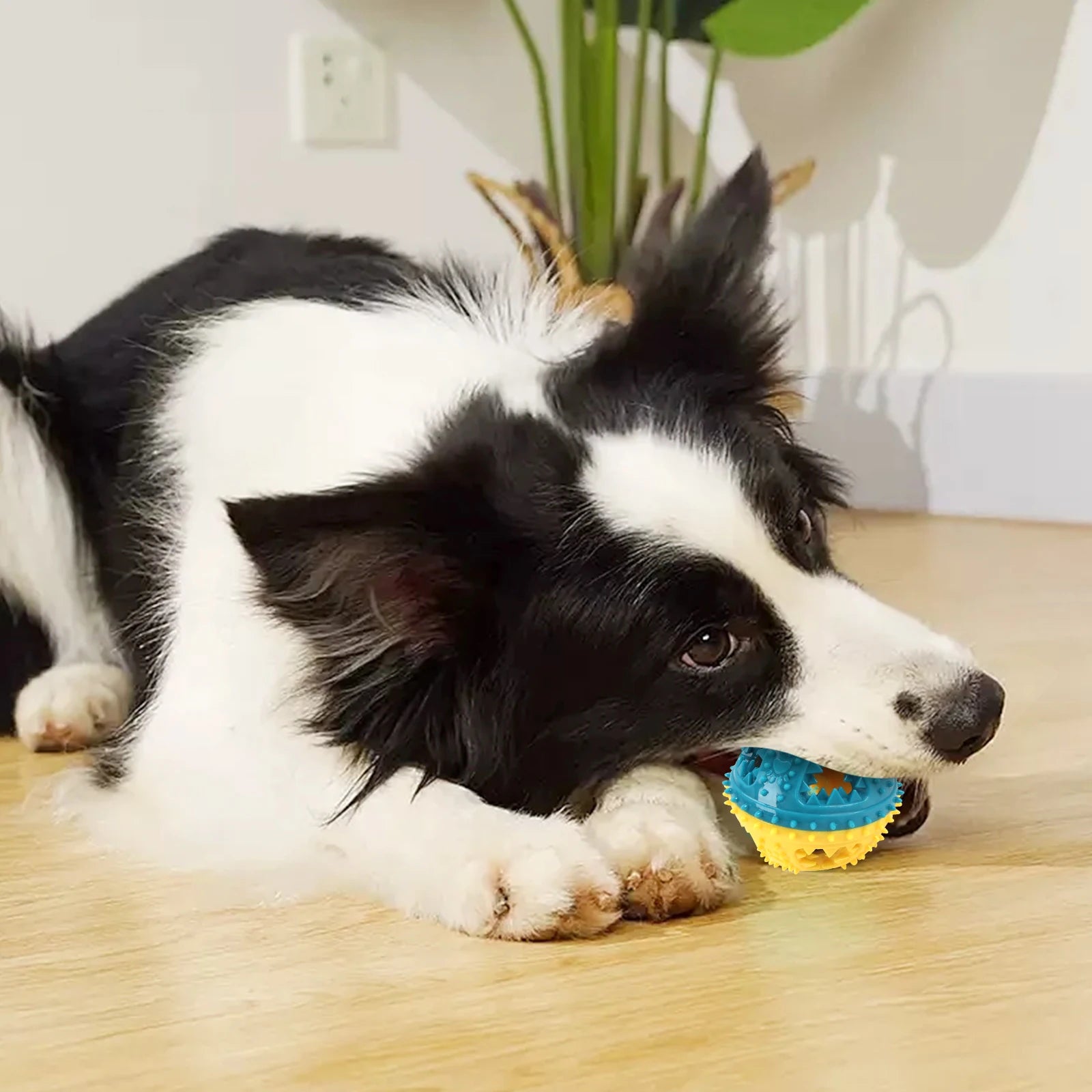 Dog Chew Ball Set – 4-in-1 Treat Dispensing & Cleaning