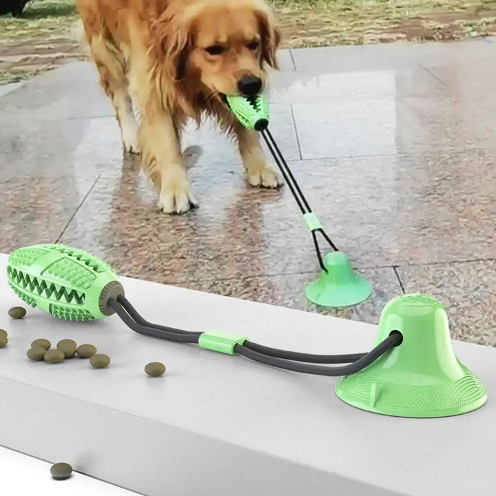 Suction Cup Dog Chew Toy