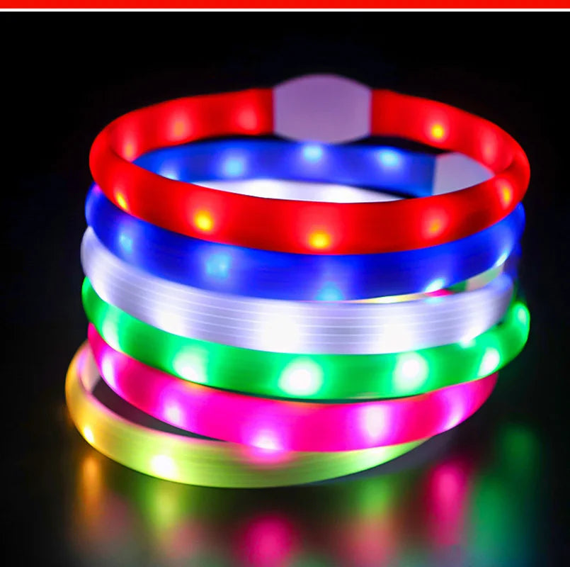 LED Dog Collar – USB Rechargeable & Waterproof