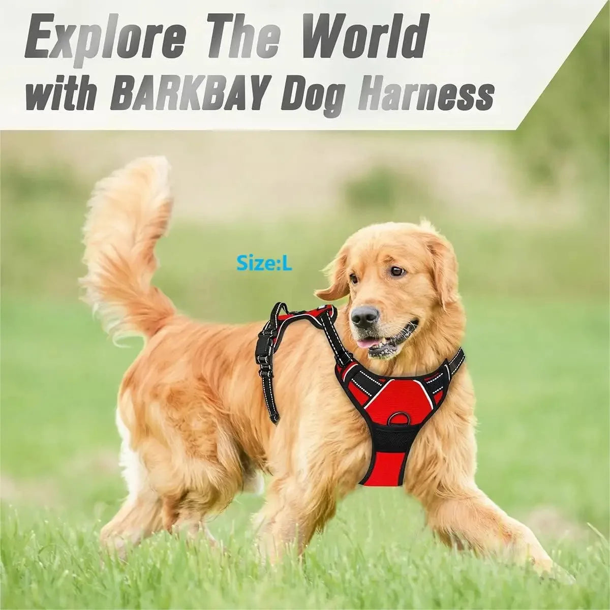 Leather Dog Harness Set – 3-in-1 with Leash