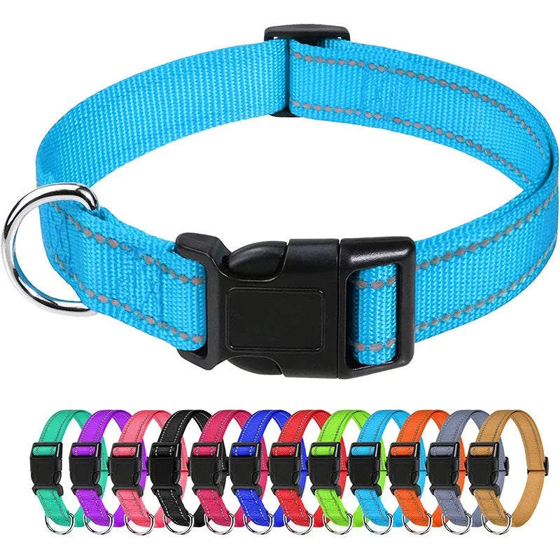 Decorative Nylon Dog Collar – Quick Release & Adjustable