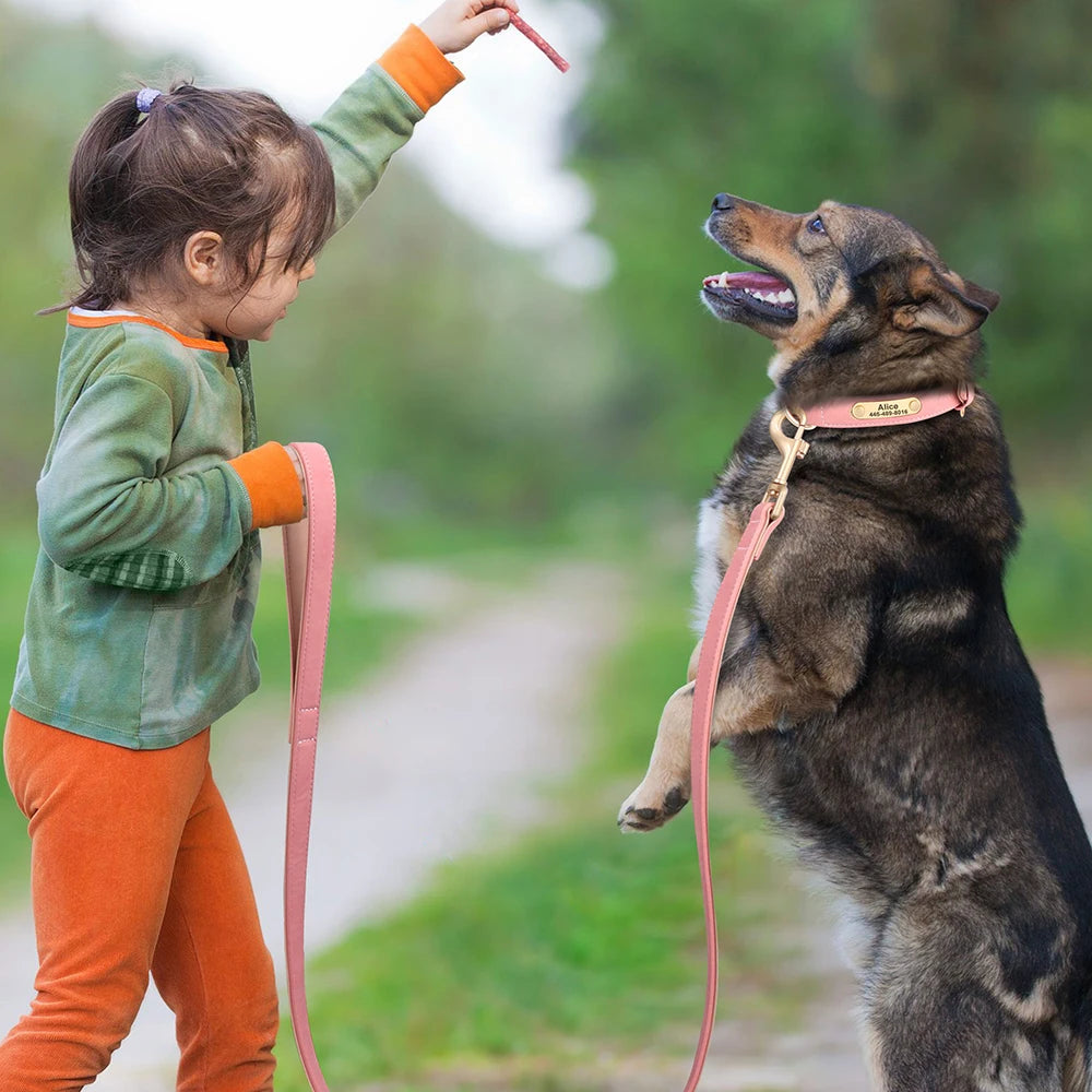 PU Leather Dog Leash – 120cm with Soft Padded Handle