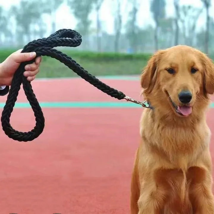 Heavy-Duty Dog Leash – Braided Nylon for Large Breeds