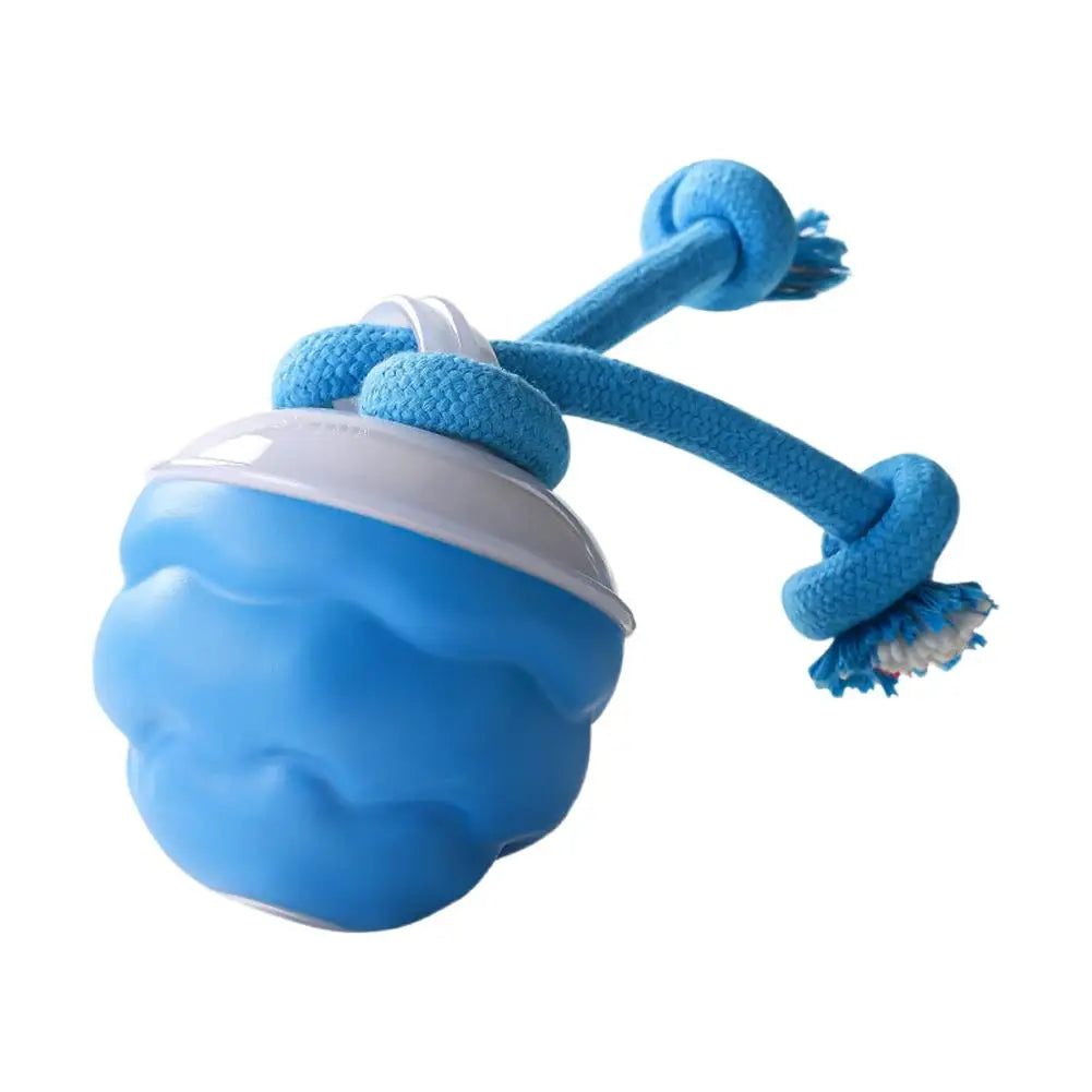 Smart Dog Toy Ball – Motion-Activated & USB Rechargeable