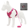 Harness & Leash Set – Reflective Padded Quick-Release