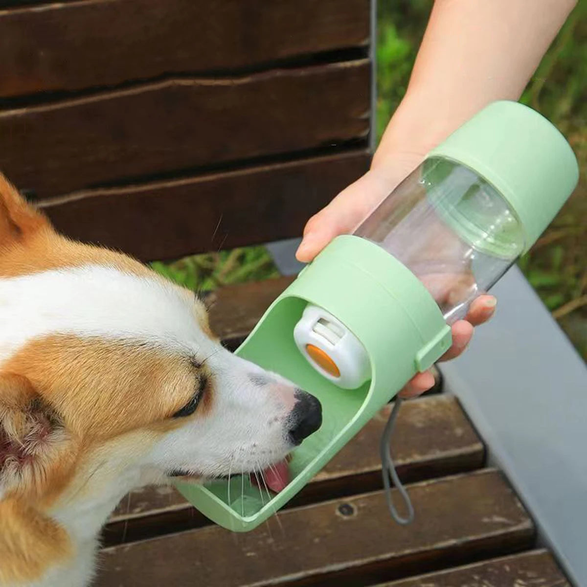 Pet Water Bottle – Leak-Proof with Food Storage